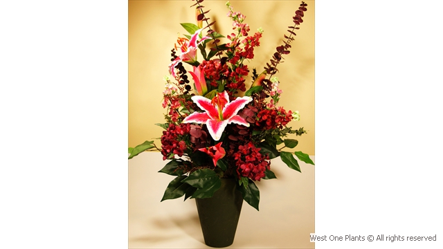 Red Floral Display