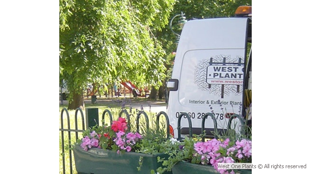 Watering of Summer Troughs