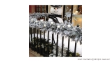 Christmas 2011 in Mayfair