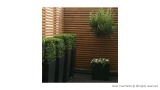 Mediterranean-Style Planting in Knightsbridge