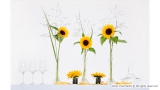 Simple Yellow Flower Display