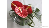 Elegant and Understated Modern Table Decoration with Flamingo Plants