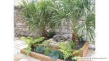 Rock Garden Design