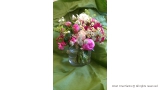 Pink Summer Table Arrangement