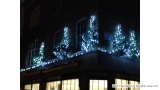 Christmas Trees above Restaurant in Belgravia