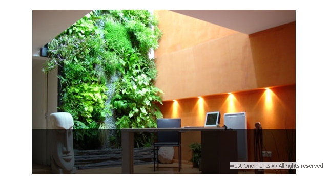 Simplefied Living Green Wall