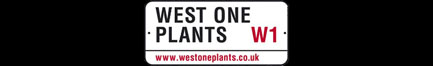 West One Plants